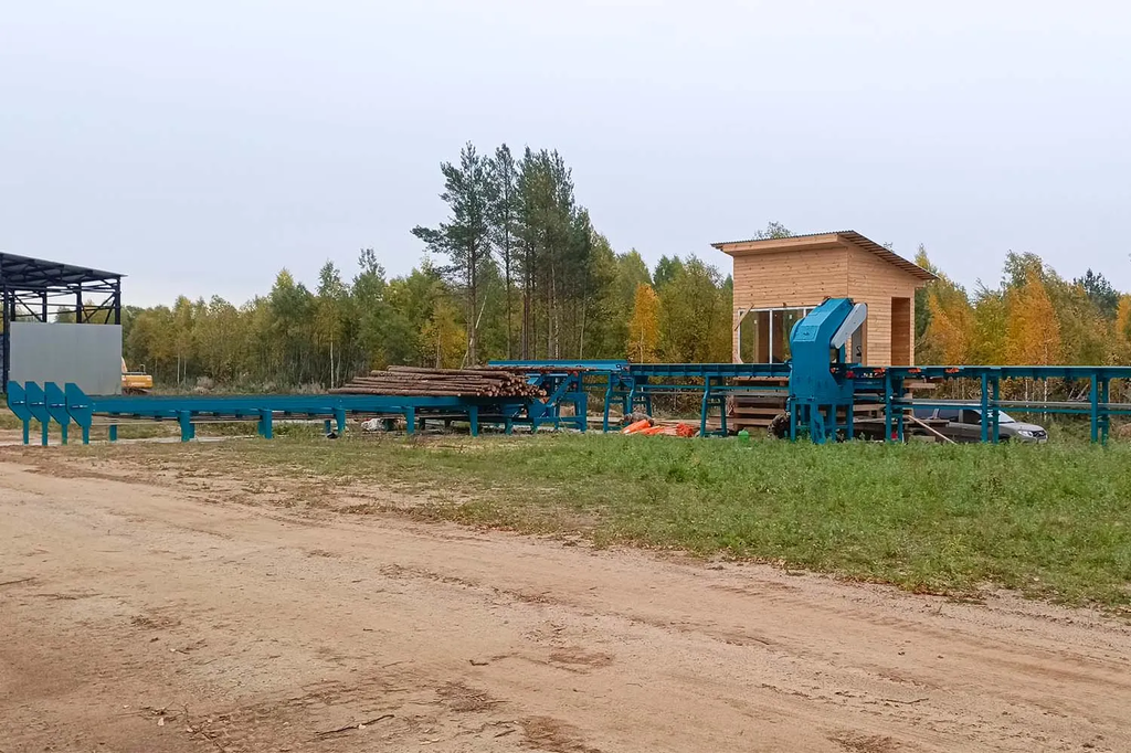 Линия сортировки с раскряжевкой бревна LSR 1250 — фото 16