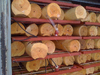 Вакуумные инфракрасные сушильные камеры EcoWood VIRK-5, VIRK-10 VIRK-10 — миниатюра 7