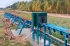 Линия сортировки с раскряжевкой бревна LSR 1250 — миниатюра 15